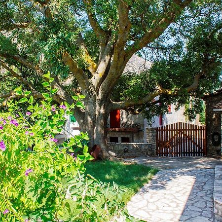 Menelia Cottage Platistoma ห้อง รูปภาพ